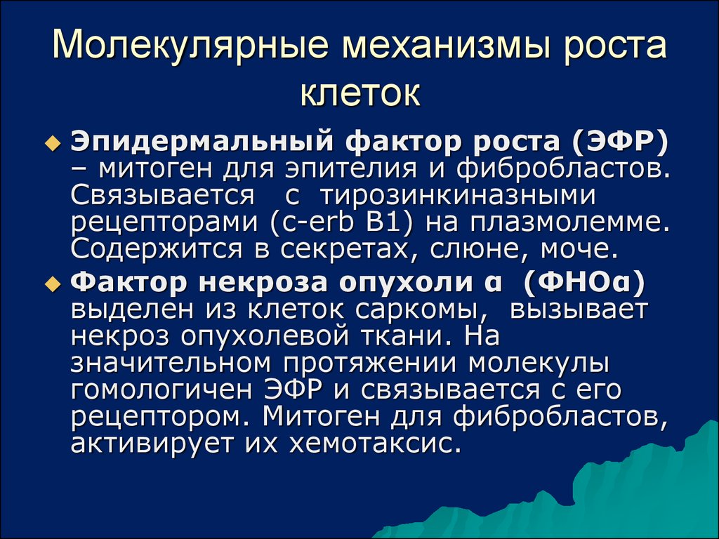 Молекулярные механизмы