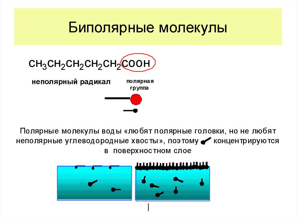 Вода неполярное соединение. Биполярная молекула воды. Полярные и неполярные молекулы. Неполярные молекулы примеры. Полярные и неполярные группы.