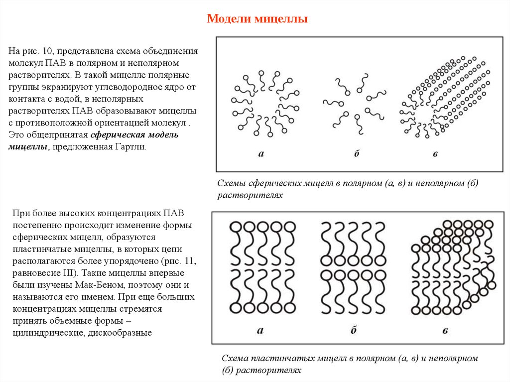 Мицеллы пав. Строение мицелл пав. Схематическое строение мицелл пав. Схема строения мицеллы. Строение сферических мицелл пав.