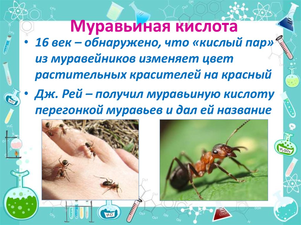 Муравьиная с бромом. Муравьиная кислота. Муравьи и муравьиная кислота. Муравьиная кислота у муравьев. Муравьиная кислота влияние на организм.