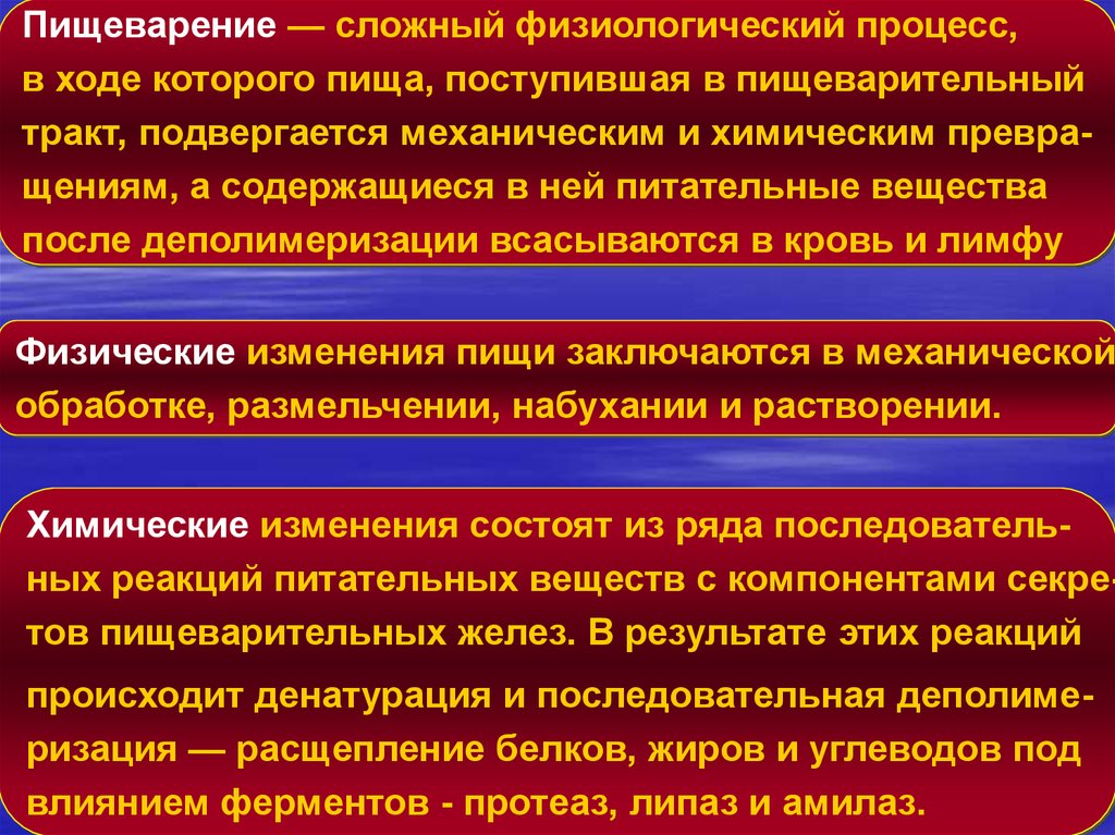 Физиологический процесс восстановления. Пищеварение сложный физиологический процесс. Пищеварение это сложный физиологический процесс в ходе которого пища. Процесс пищеварения это сложный физиологический процесс в ходе. Процесс входе которого.