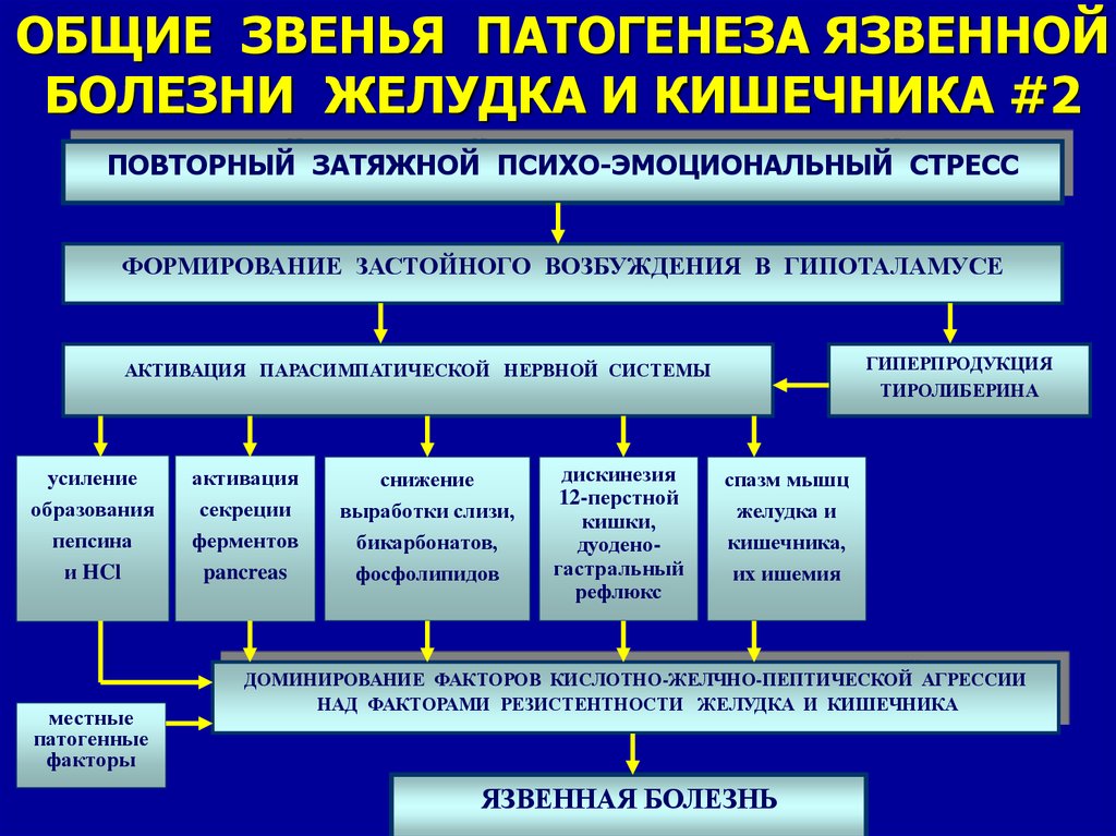 Язвенная болезнь патогенез схема