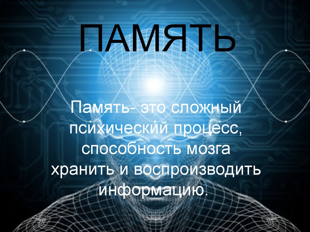 Презентация по биологии 8 класс на тему память