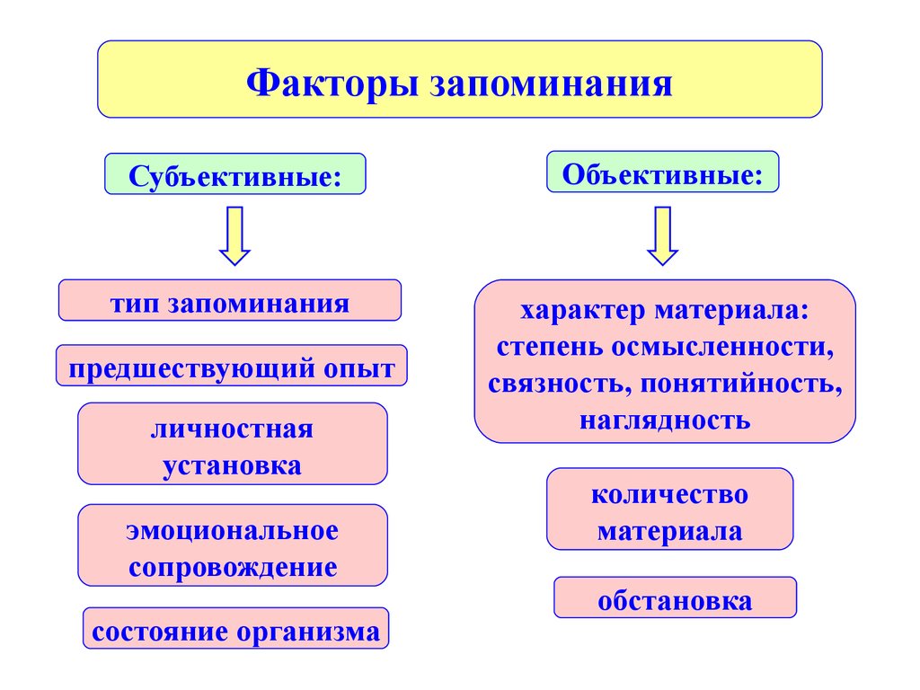 Типы запомни. Факторы запоминания. Факторы запоминания в психологии. Субъективные факторы запоминания. Факторы запоминания материала.