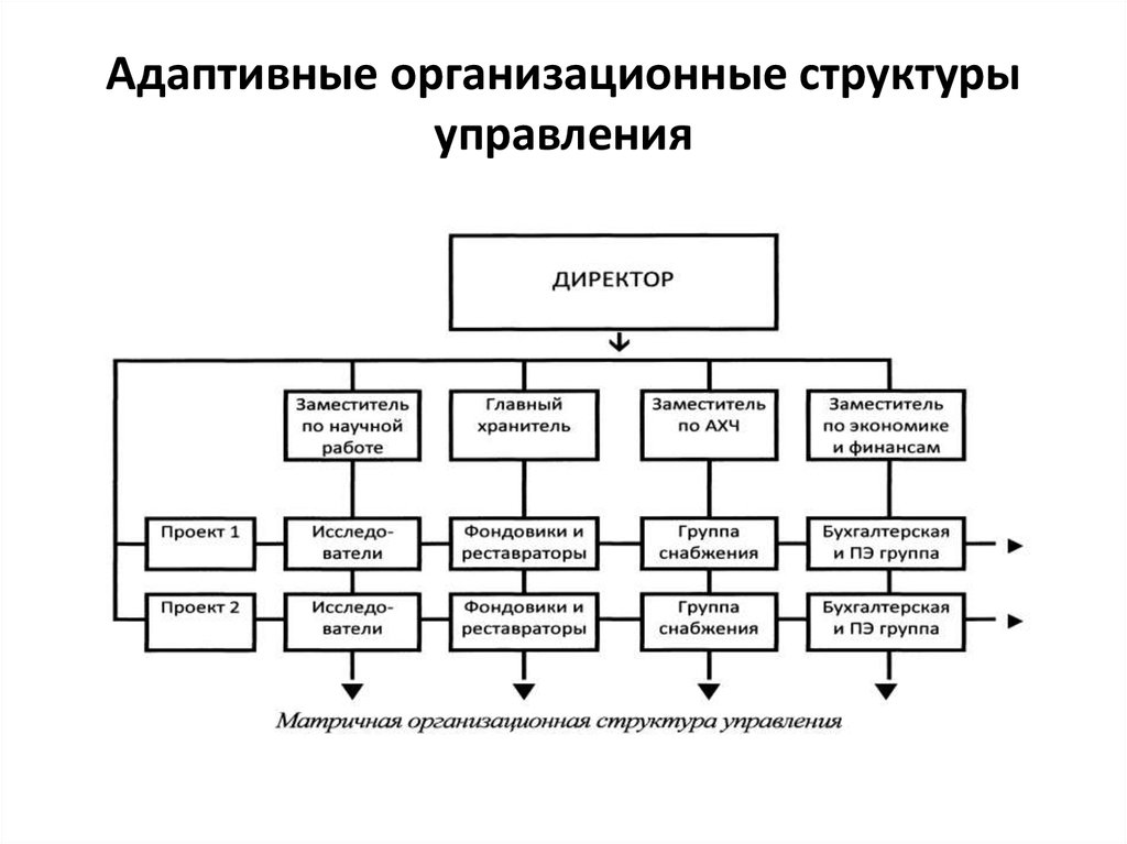 Виды организационной. Адаптивные организационные структуры. Адаптивная организационная структура схема. Адаптивные организационные структуры управления. Адаптивные структуры организации схема.