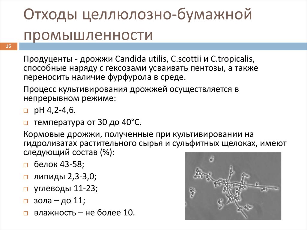 Получение белков