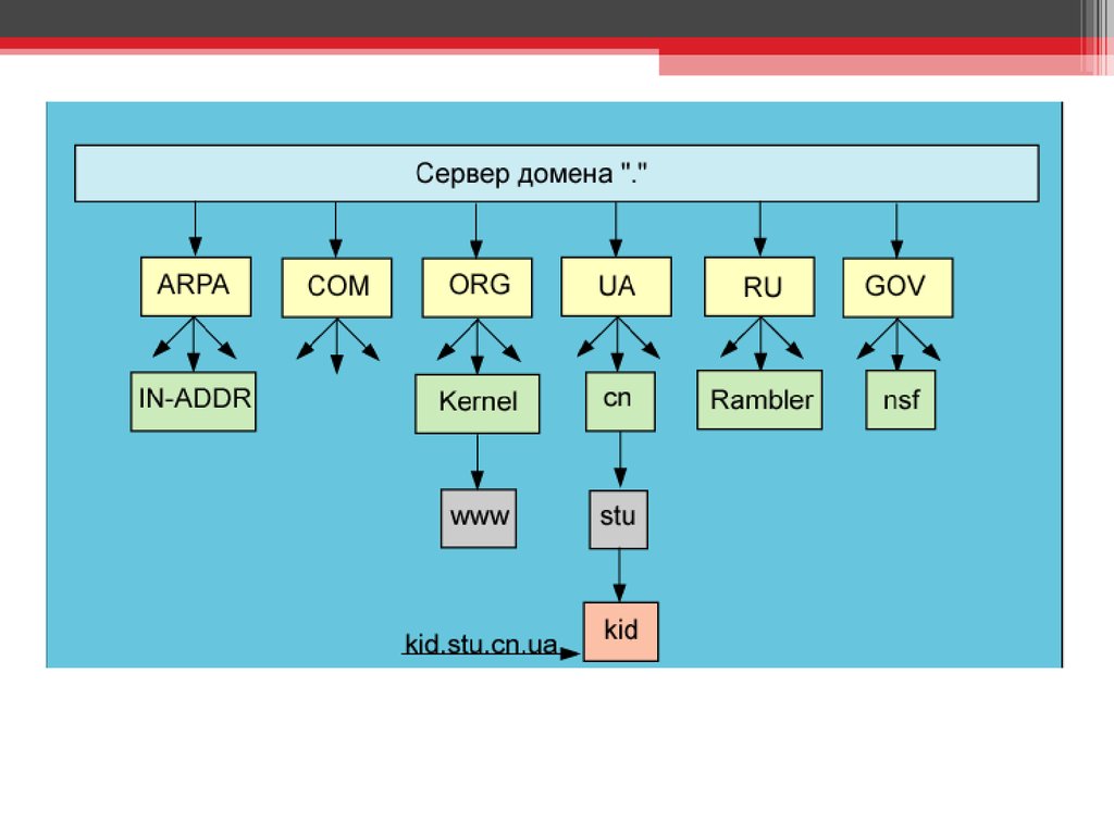 Какой сервер домена. Дерево доменов. Эталонная схема. Technology reference model (TRM).