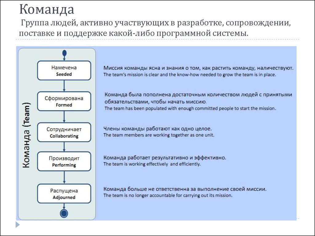 Поддержишь какой вид