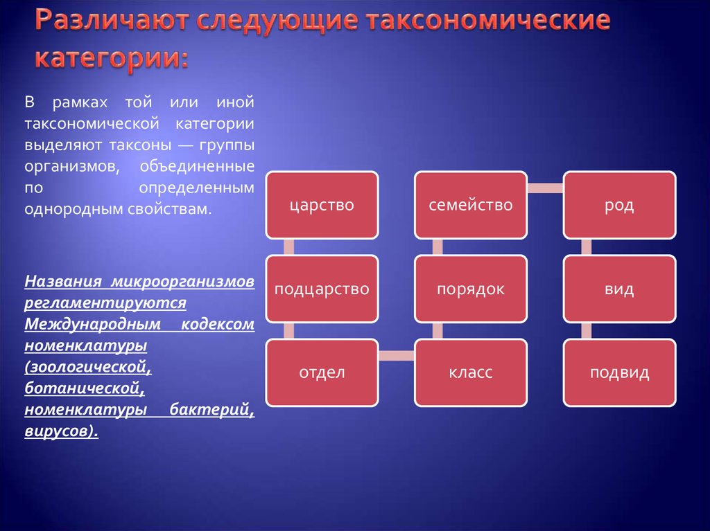 Таксономические группы