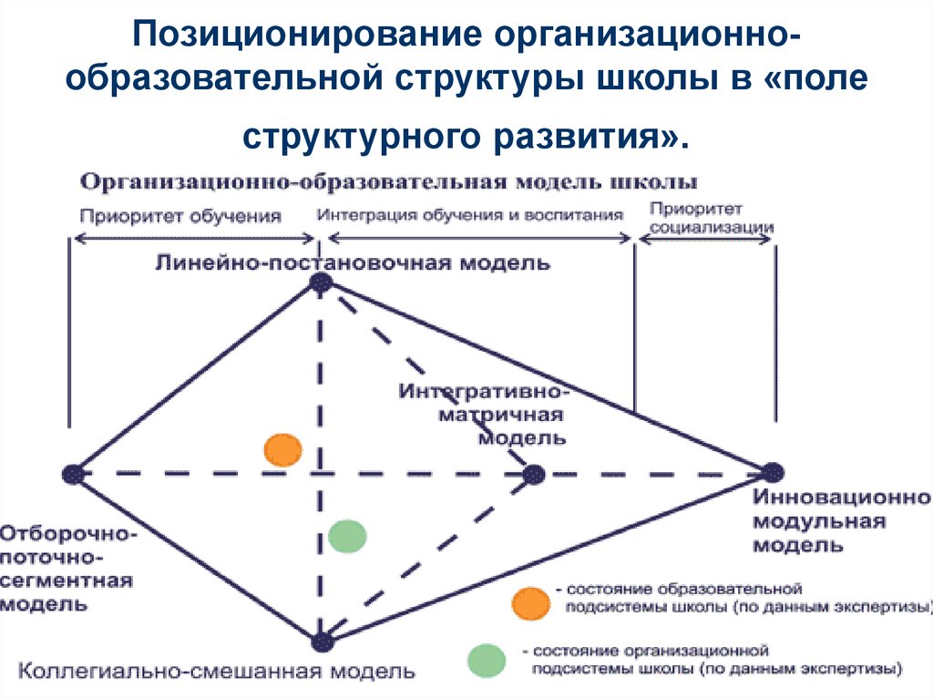 Организационные образования