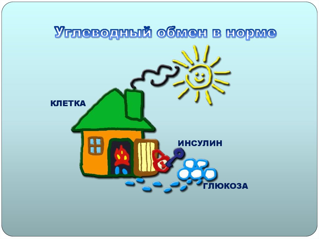 Углеводный обмен в норме