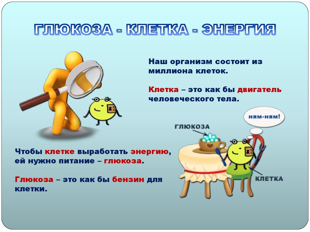 ГЛЮКОЗА - КЛЕТКА - ЭНЕРГИЯ