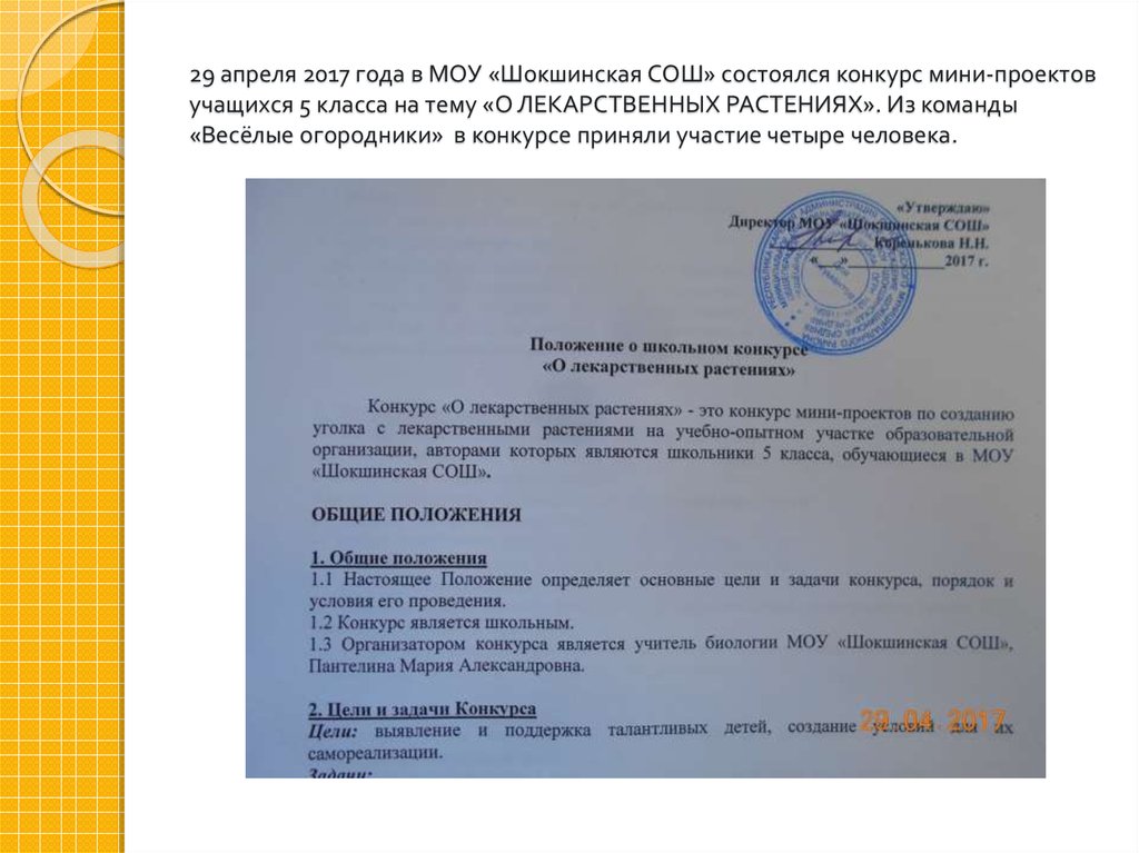 29 апреля 2017 года в МОУ «Шокшинская СОШ» состоялся конкурс мини-проектов учащихся 5 класса на тему «О ЛЕКАРСТВЕННЫХ РАСТЕНИЯХ». Из команды «