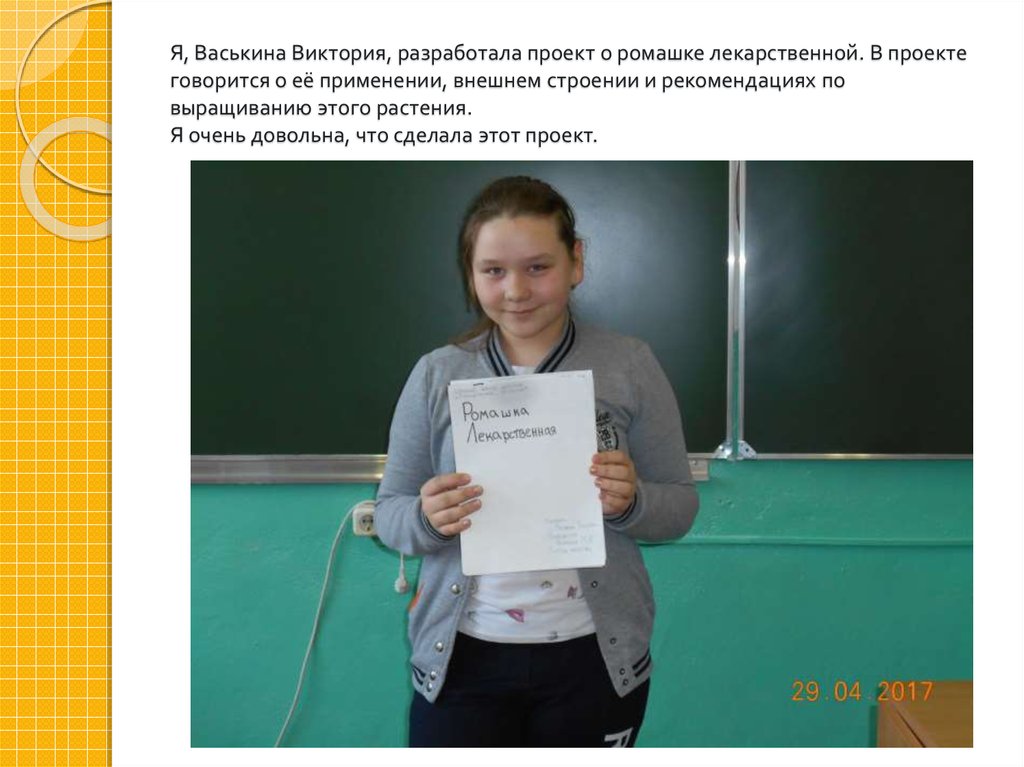 Я, Васькина Виктория, разработала проект о ромашке лекарственной. В проекте говорится о её применении, внешнем строении и рекомендациях по 