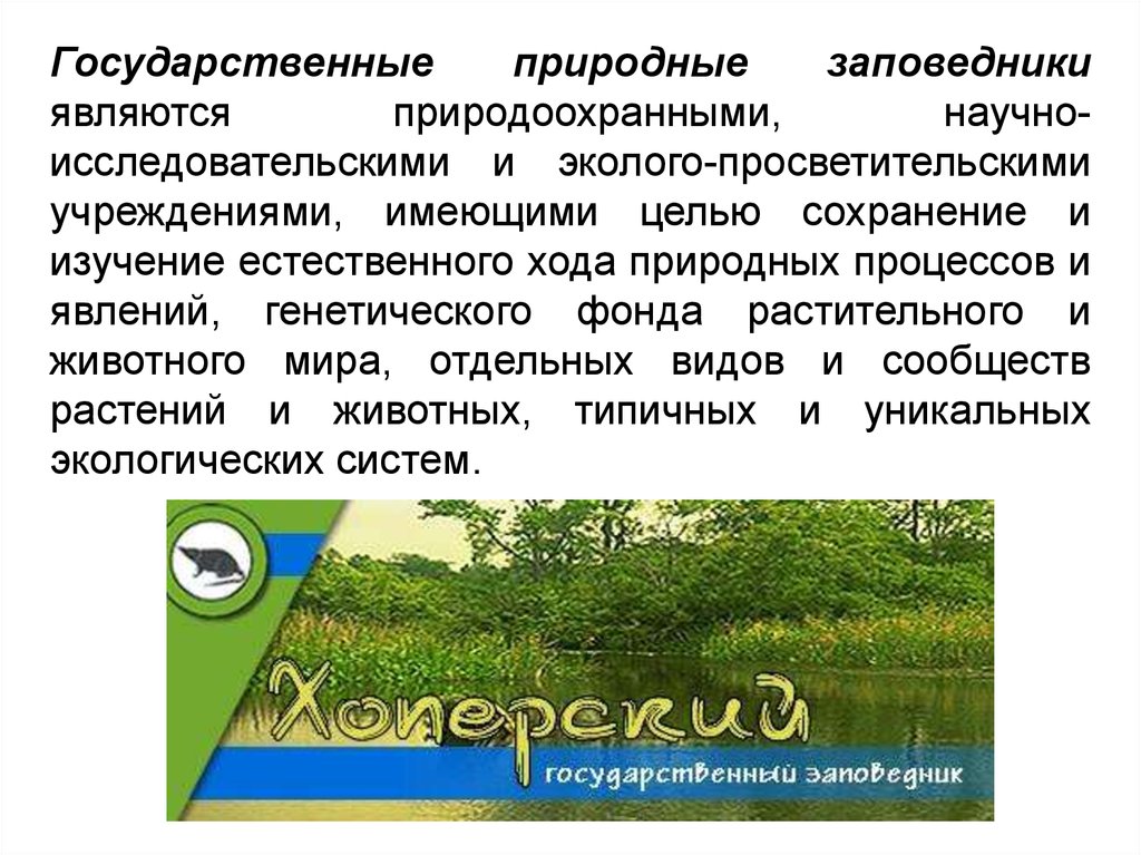 Природно территориальные аспекты экологических проблем презентация