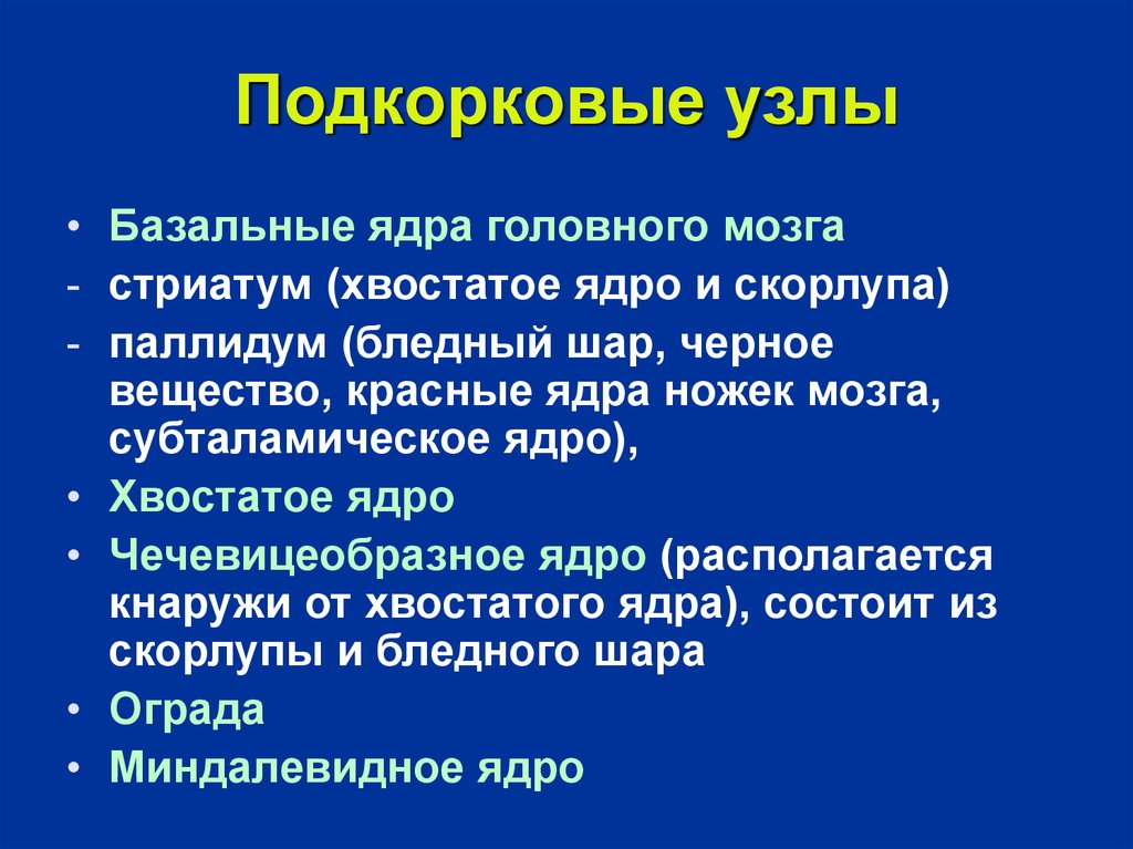 Подкорковые структуры. Функции подкорковых узлов. Подкорковые нарушения. Подкорковые ядра синдромы. Экстрапирамидная система синдромы поражения.