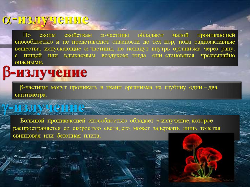 Влияние радиации на живой организм презентация