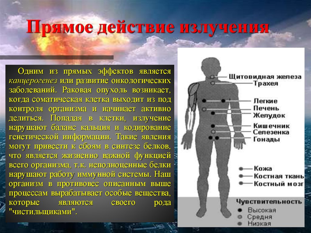 Последствия радиации для человека презентация