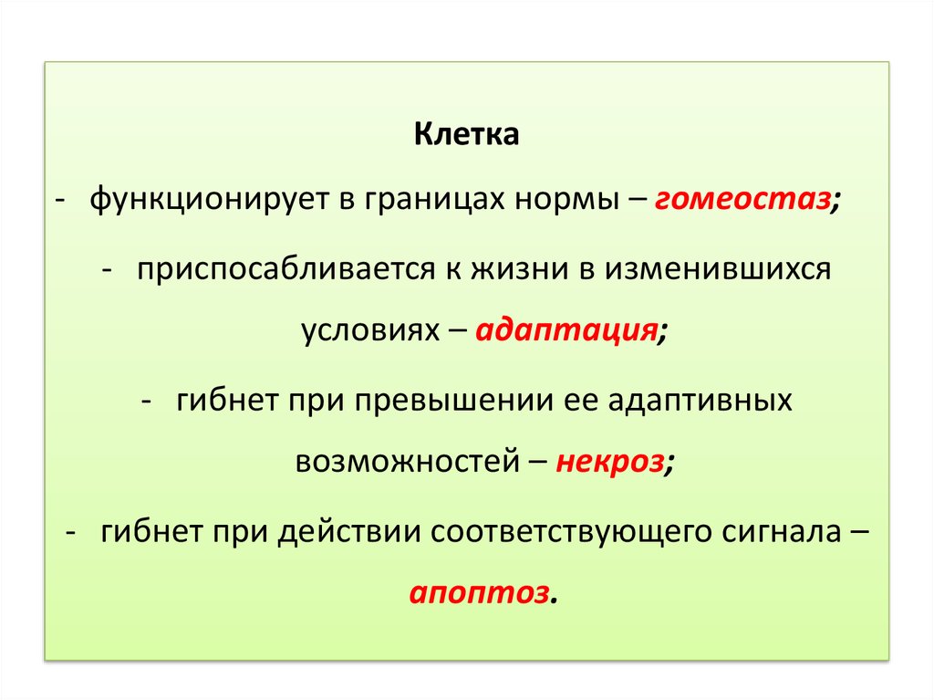 Дать определение понятию клетка