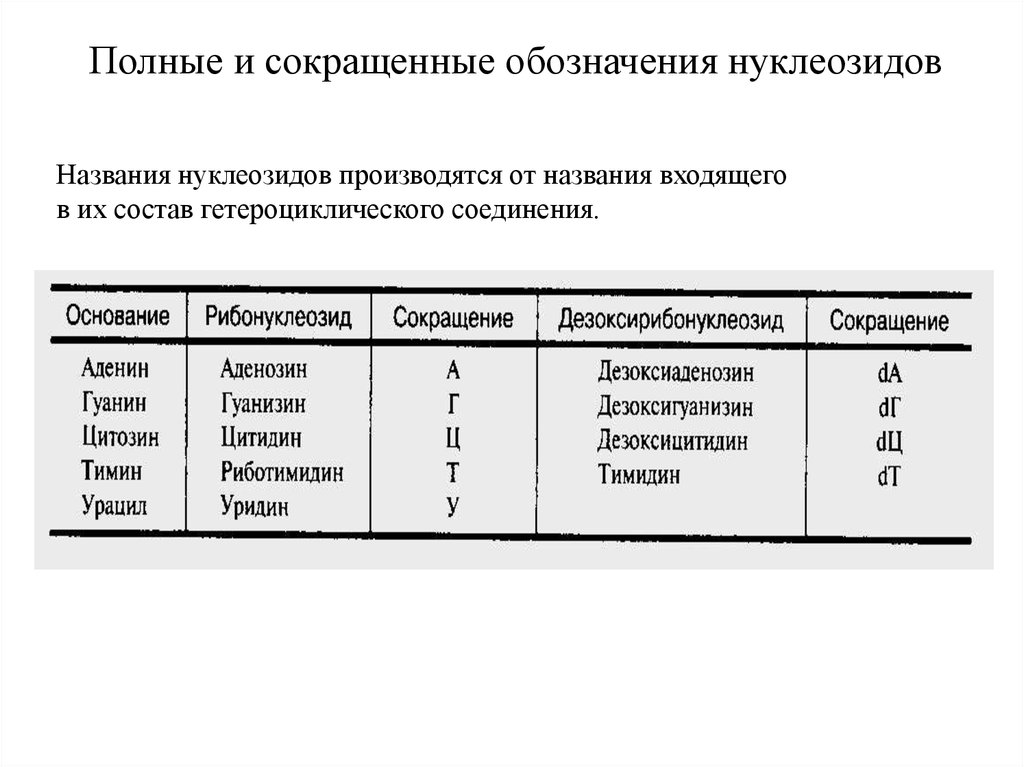 Обозначения нуклеотидов. Полные названия нуклеозидов. Названия и сокращенные обозначения нуклеотидов.. Названия нуклеотидов и нуклеозидов. Сокращенное название нуклеотидов.