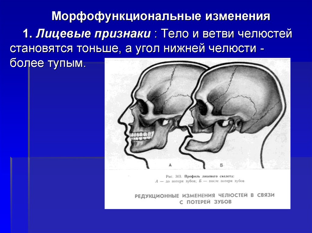 Морфо функциональные изменения организма