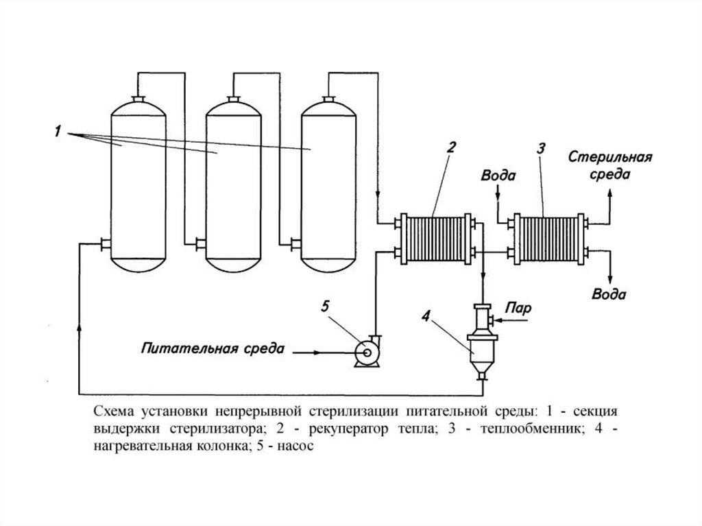 Питательные среды схема