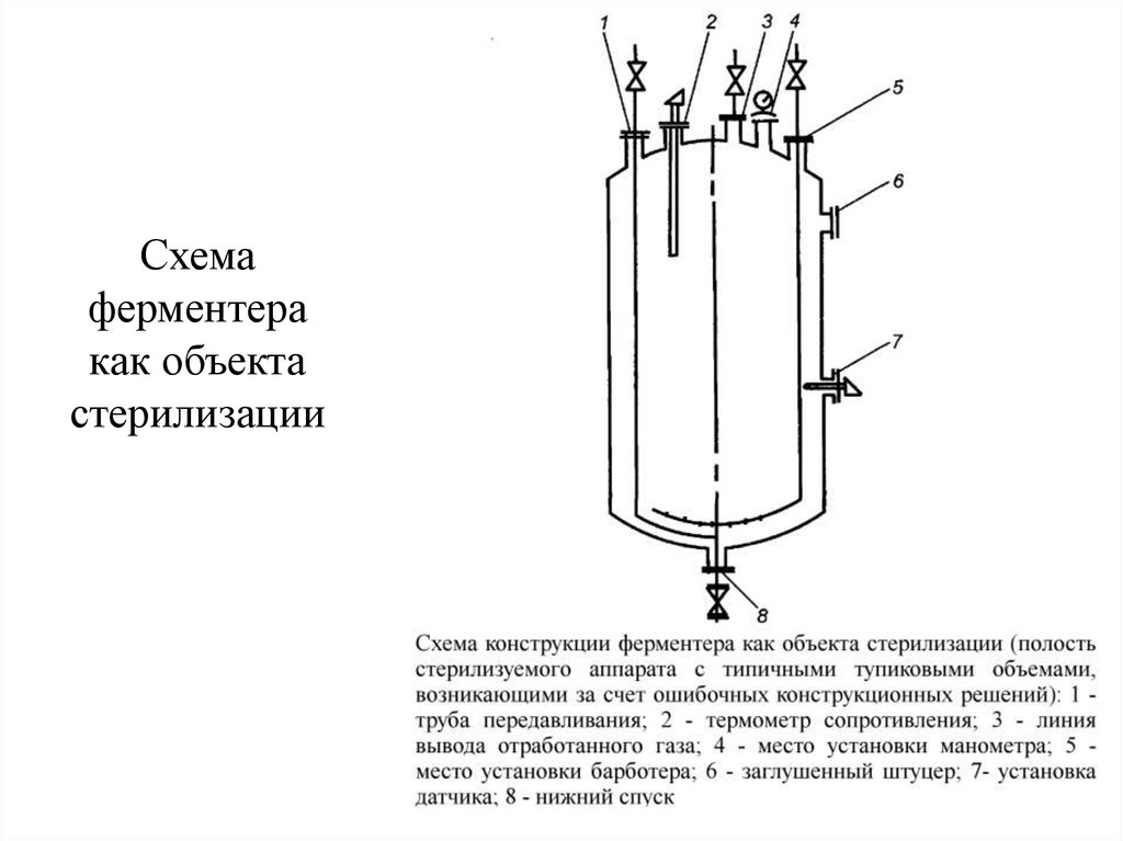 Особенности ферментационного оборудования и отдельных элементов технологических схем