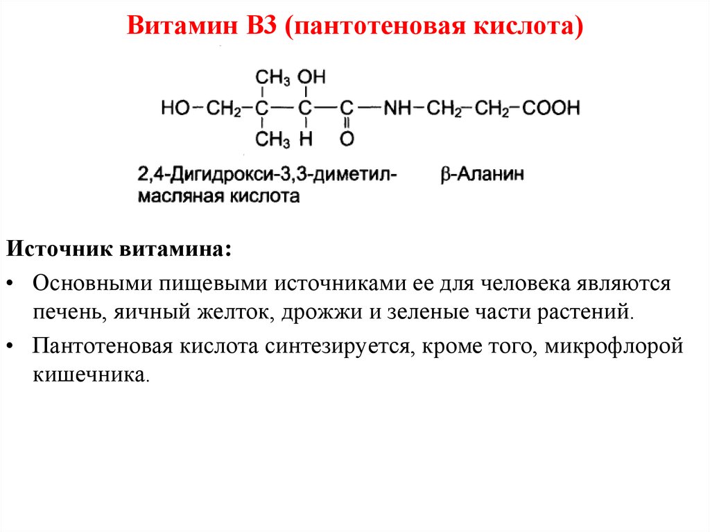 Витамин В3 (пантотеновая кислота)