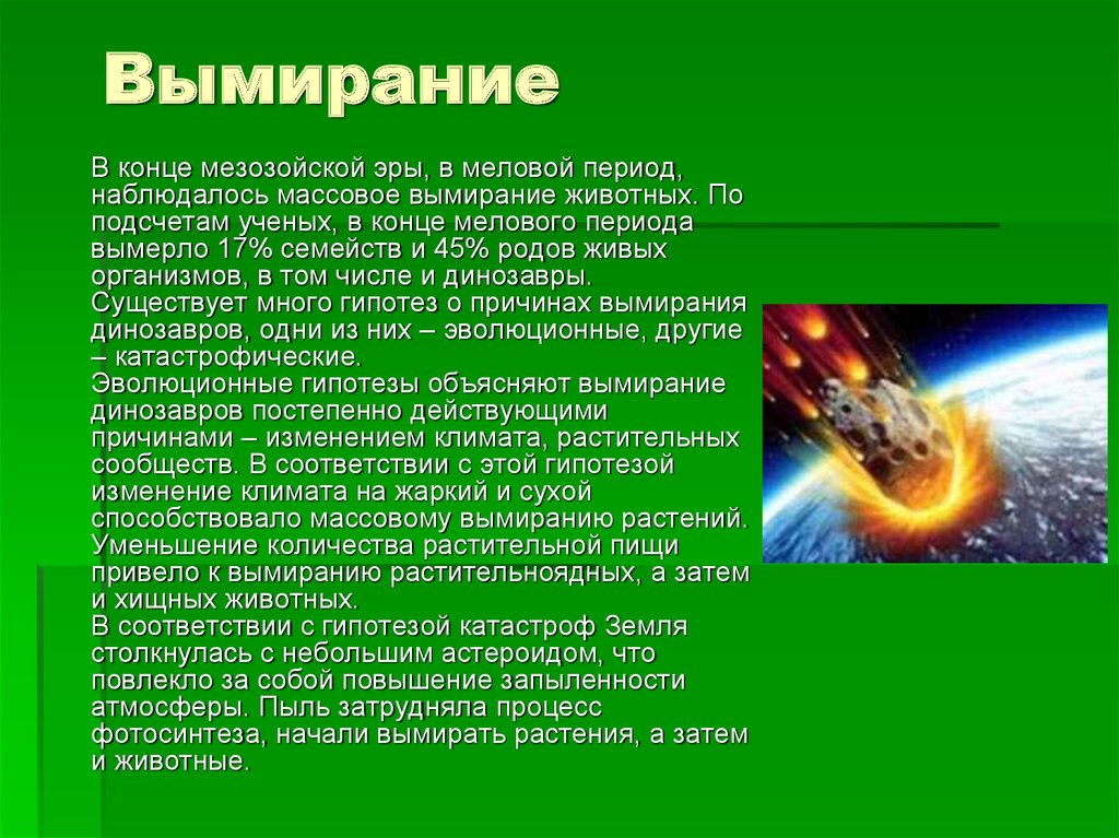 Конец эры. Вымирание в конце мелового периода. Массовое вымирание организмов. Причины вымирания мезозойской эры. Конец мезозойской эры.