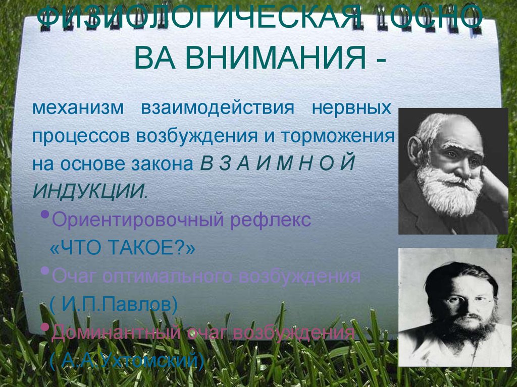 Основа внимания. Факты о внимании. Понятие о внимании презентация. Интересные факты о внимании человека. Павлов и механизмы внимания.