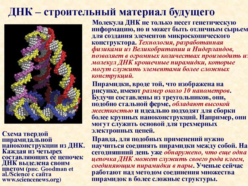 Вирус фрагмент днк. Наноконструкции из ДНК. Конструктор молекулы ДНК. ДНК И строительство. Заморозка ДНК материала.