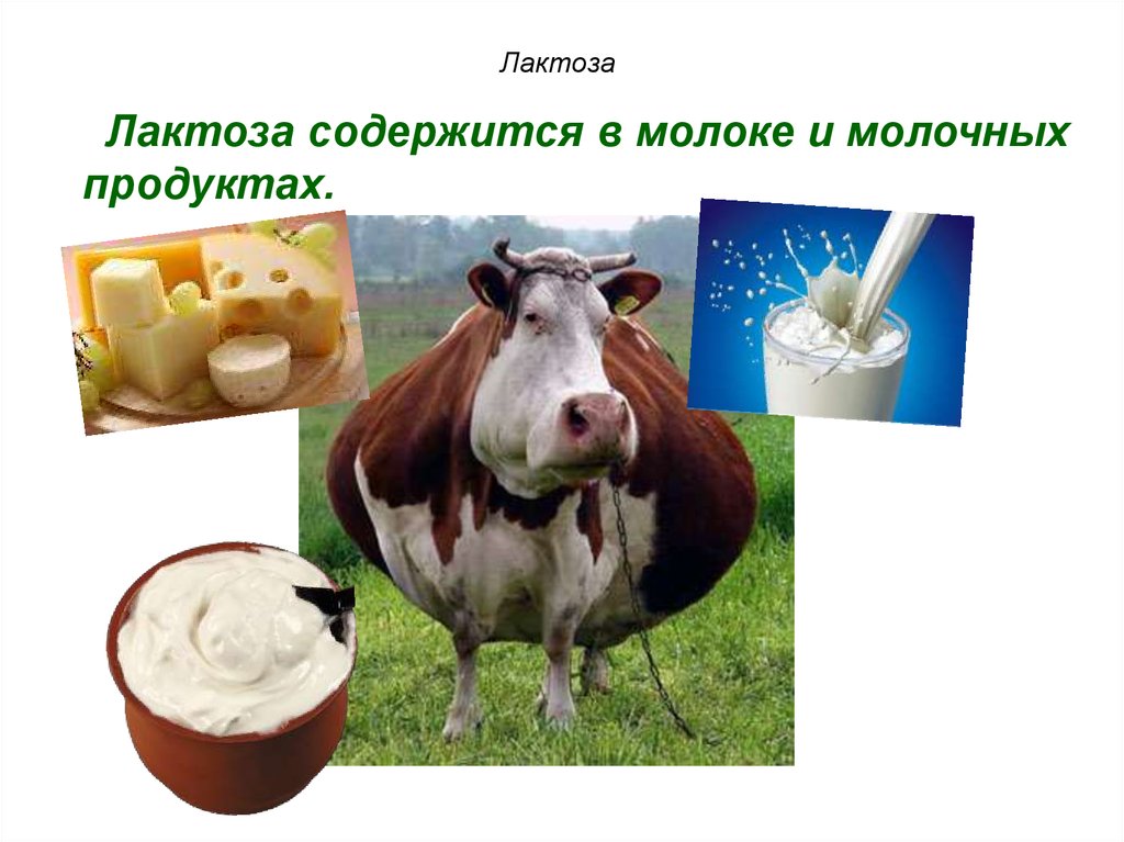 В масле есть лактоза. Лактоза в каких продуктах содержится. Лактоза в молочных продуктов. Лактоза в молочных продуктах. Продукты содержащие лактозу.