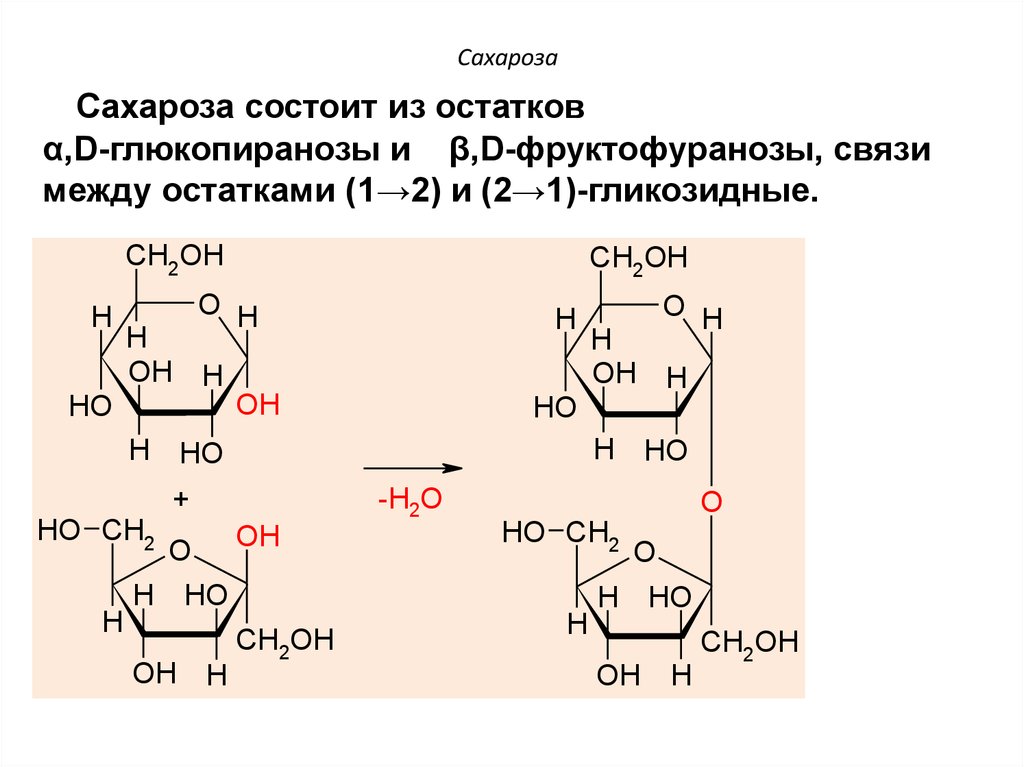 Сахарный тростник формула. Строение сахарозы формула. Сахароза структур формула. Циклическая формула дисахаридов- сахарозы. Сахароза структурная формула.