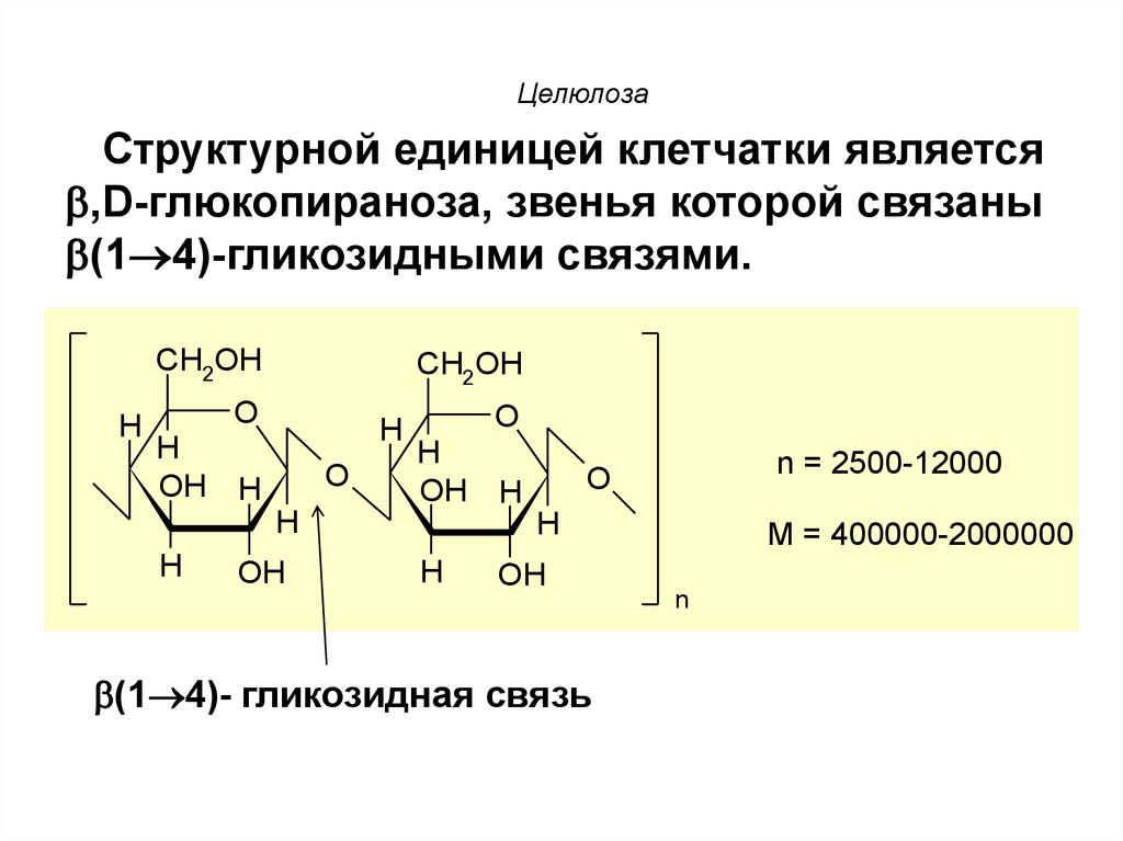 Природным полимером не является целлюлоза