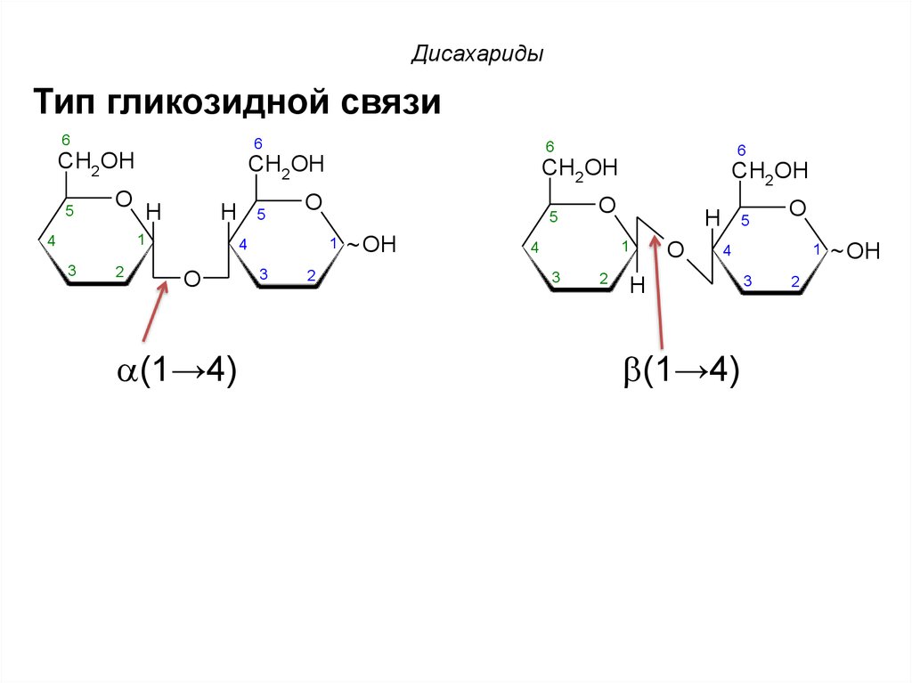 Дисахариды и олигосахариды. Восстанавливающие дисахариды. Составьте схему «полисахариды и дисахариды в природе». Восстанавливающие олигосахариды.