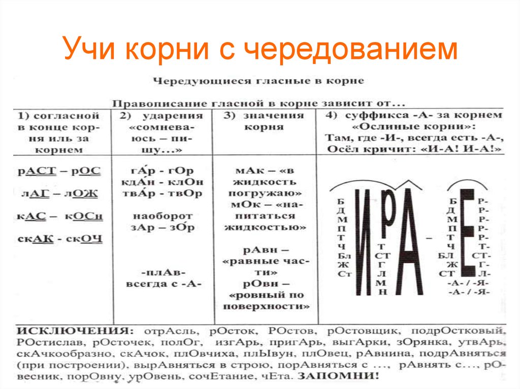 Корни с чередованием. Правописание гласных в корнях с чередованием схема. Таблица написания корней с чередованием гласных. Опорная таблица на чередующиеся гласные. Схема чередующихся гласных в корне.