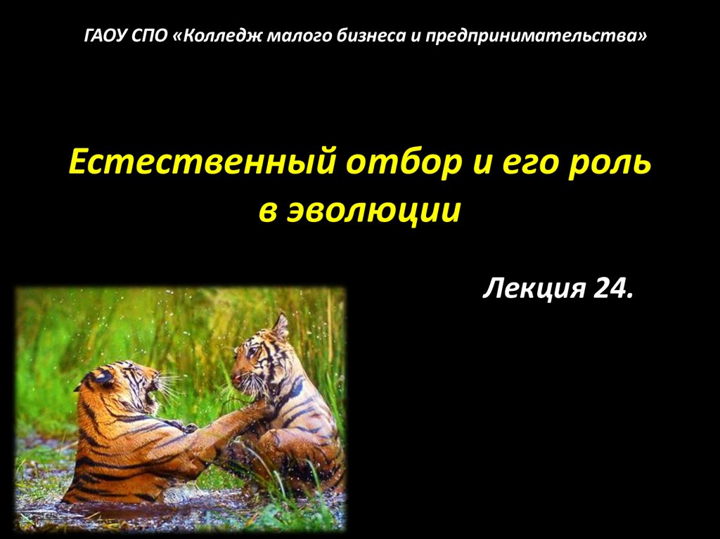 Роль эволюции. Естественный отбор и его роль в эволюции. Стабилизирующий отбор.