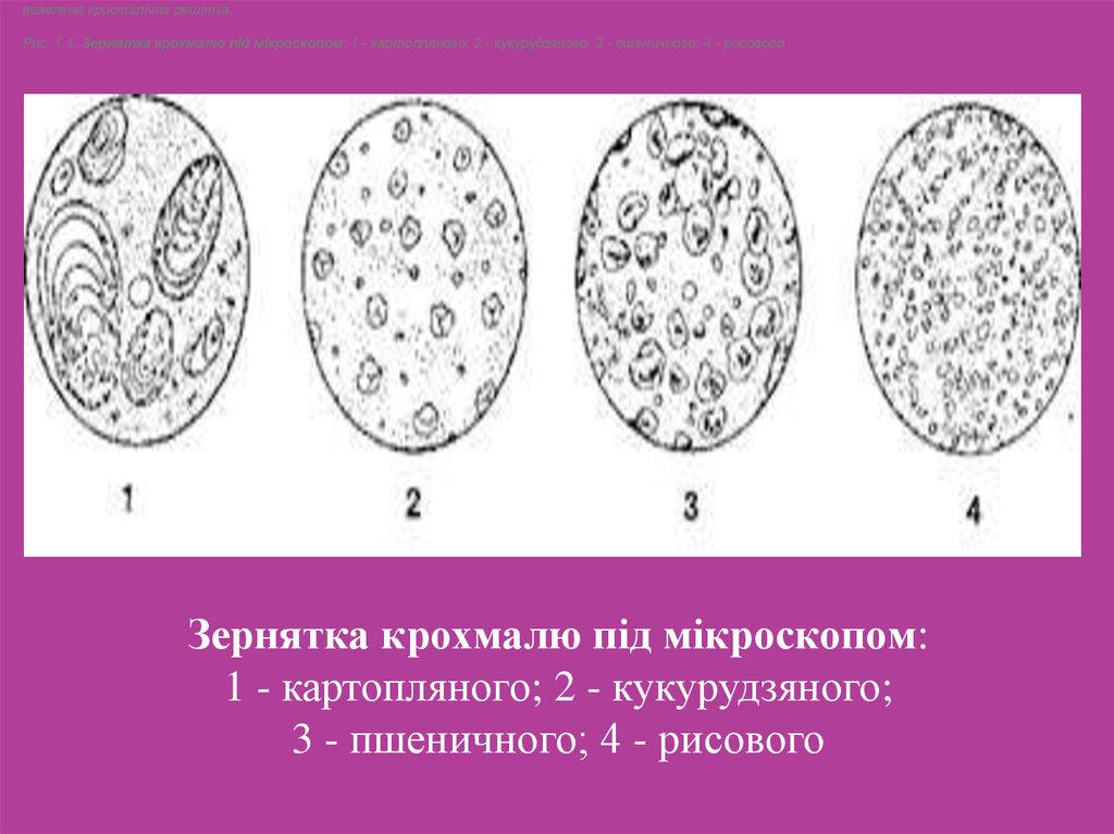 download philoponus on aristotle physics