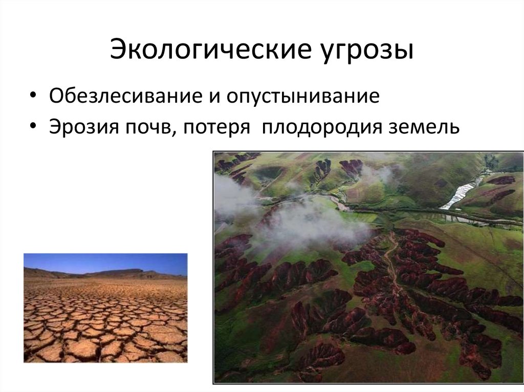 Угрожают окружающей среде и. Экологическая опасность. Опустынивание. Экологическая опасность презентация. Потеря плодородия почв.