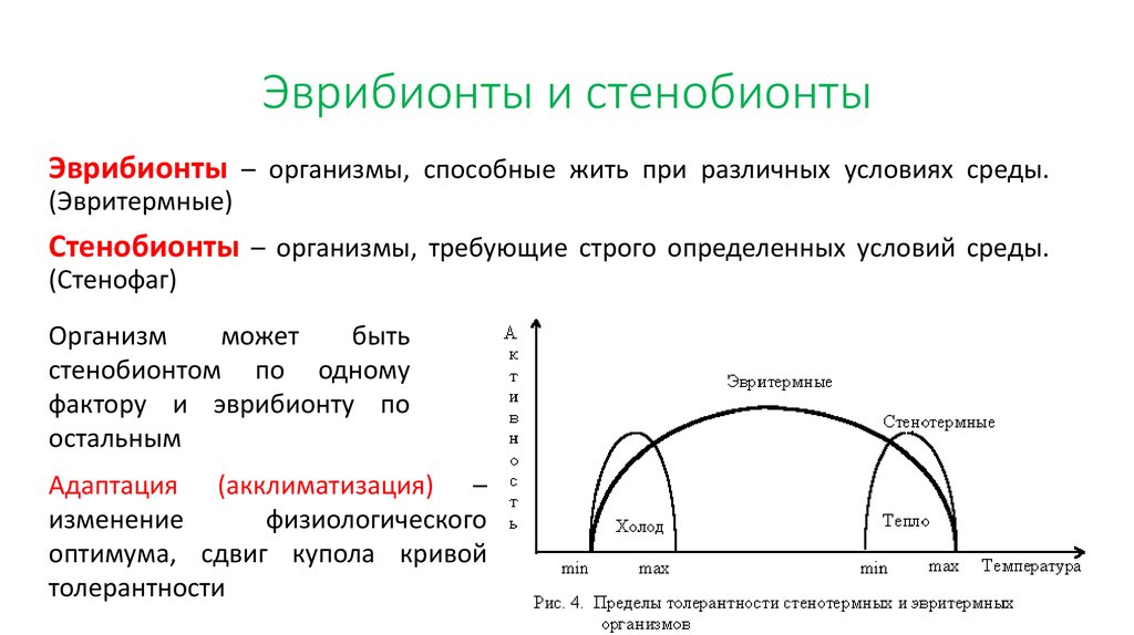 Презентация законы действия факторов среды на организмы презентация