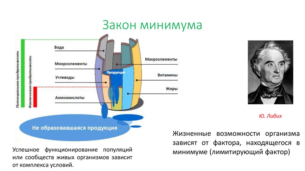 Схема лимитирующего фактора