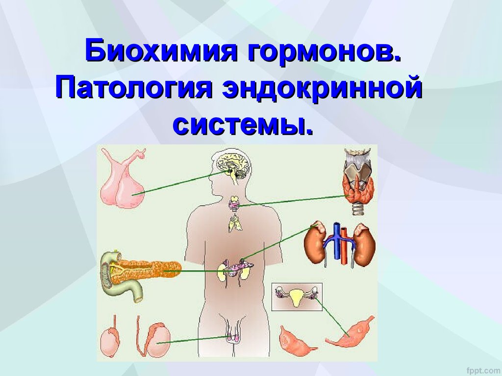 Гормоны биохимия презентация