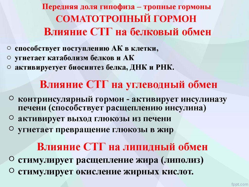 Избыток стг. Соматотропный гормон функции. Соматотропный гормон (СТГ). СТГ функции. СТГ гормон функции.