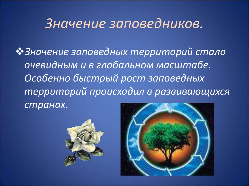 Охрана природы значение. Значение заповедников. Роль заповедников. Роль заповедников в охране природы. Значимость заповедников.