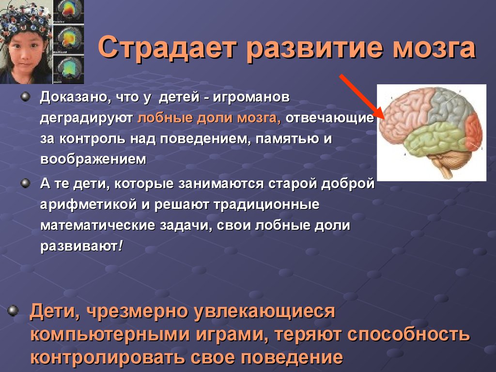 Развитие мозга происходит