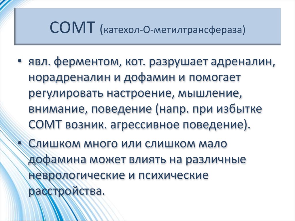 СОМТ (катехол-О-метилтрансфераза)