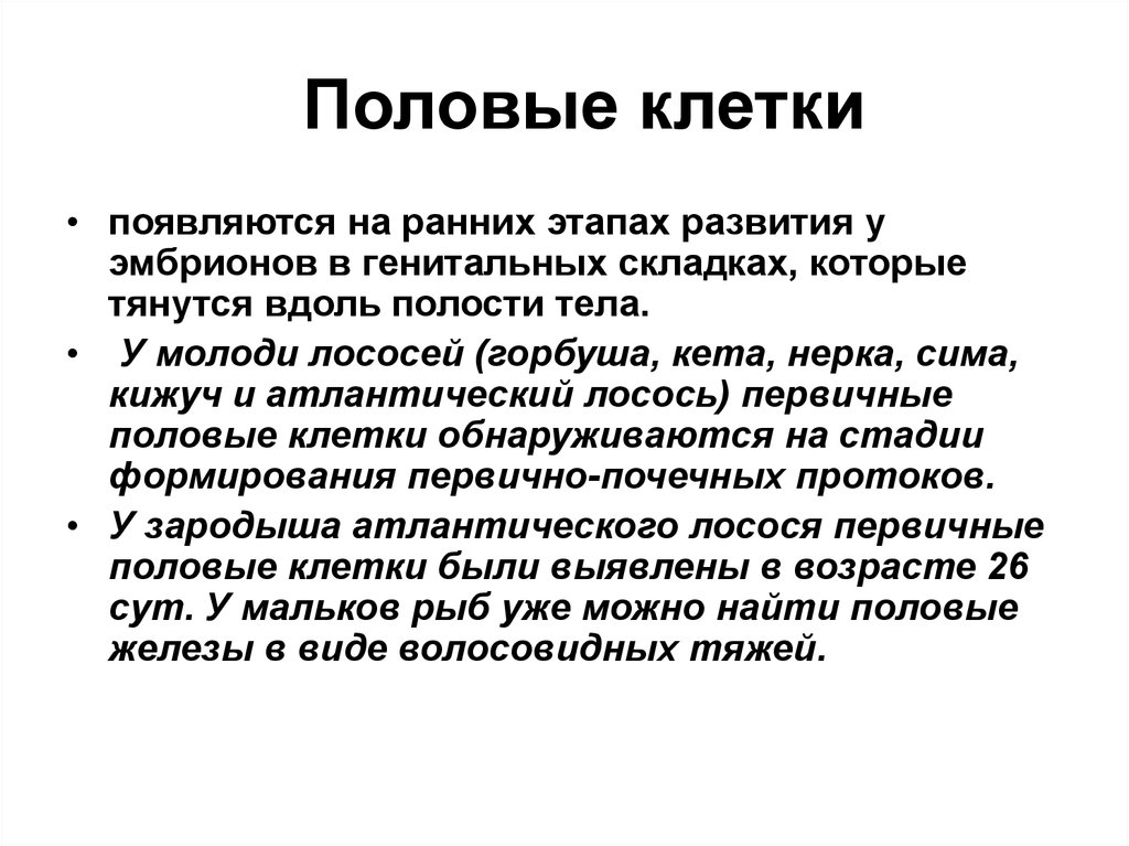 Мужскими половыми клетками являются. Первичные половые клетки лосося. Мужские половые клетки образуются. Овогонией.