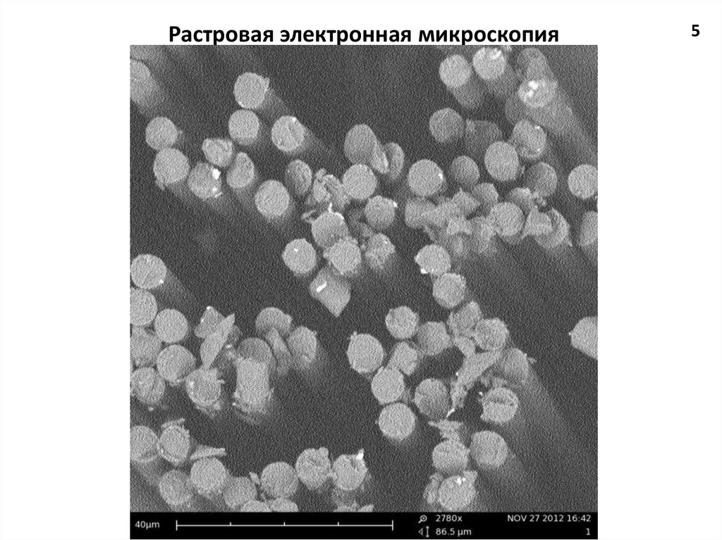 Какое излучение анализируют в растровом электронном микроскопе для получения изображения