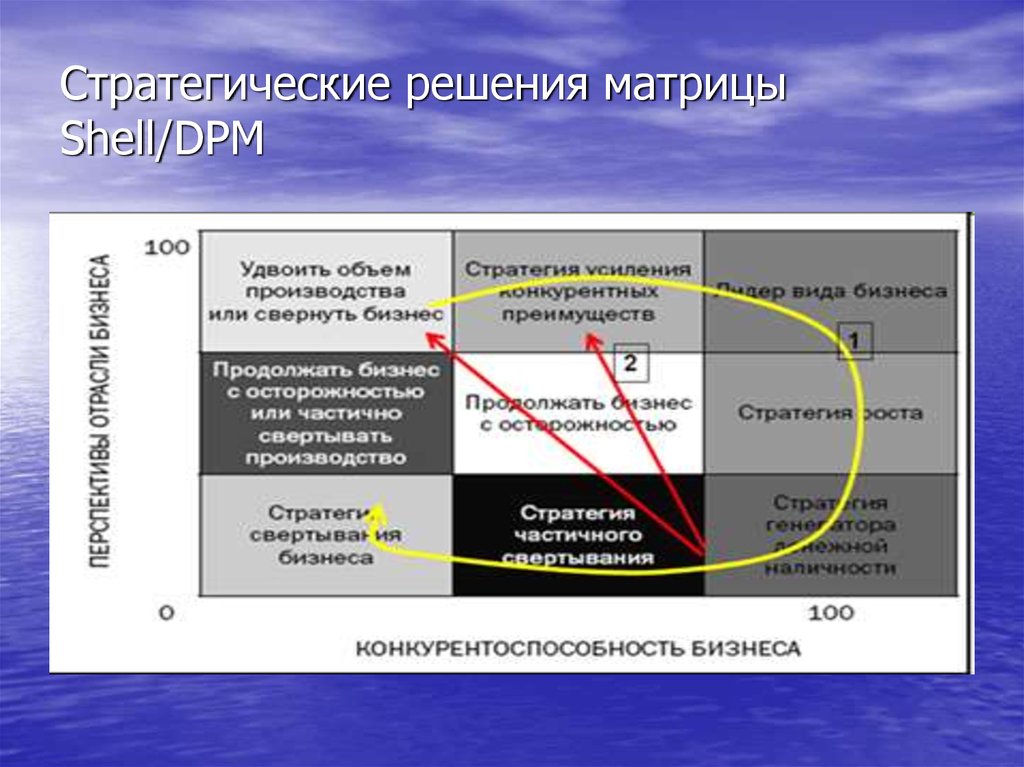 Область стратегических решений. Модель Shell/DPM. Модель Шелл ДПМ. Матрица Шелл ДПМ. Матрица направленной политики компании Шелл.