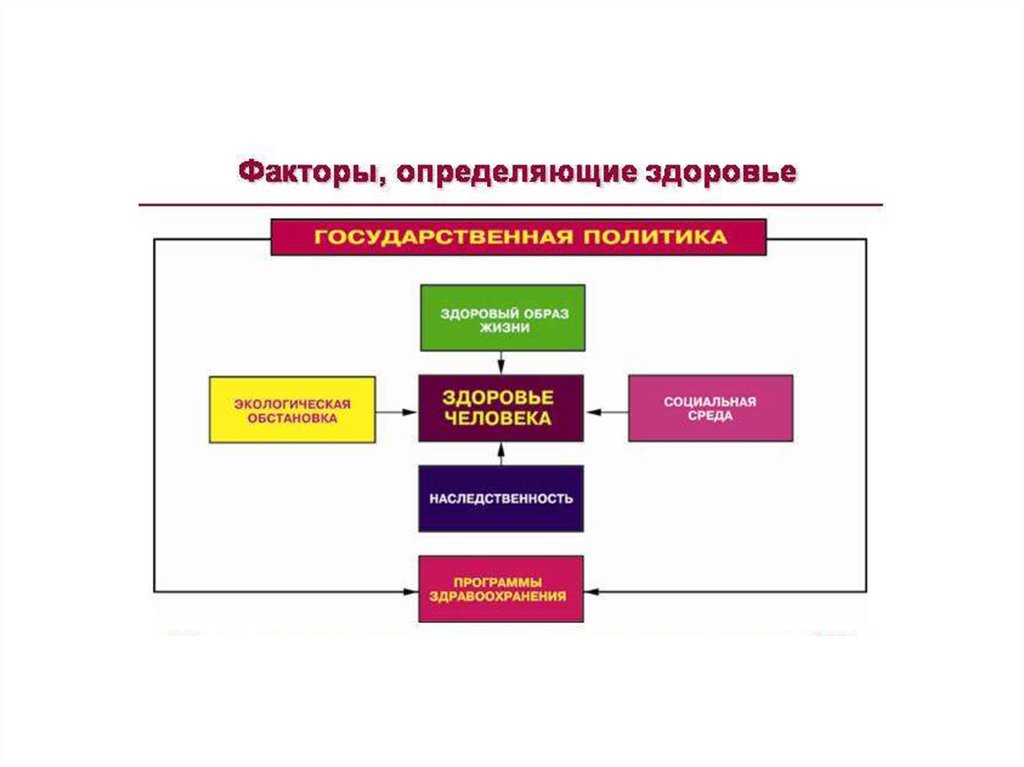 Государственное здоровье. Факторы определения здоровья человека. Факторы определяющие здоровье человека. Факторы здоровья это определение. Факторы определяющие здоровье образ жизни.